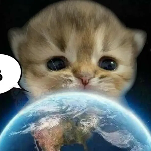 Avatar of LittleStar.onthesky