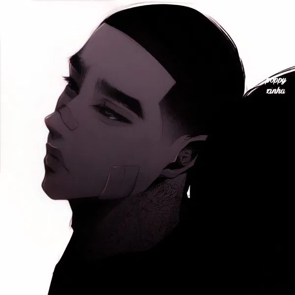 Avatar of Zirv.   