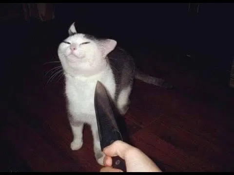 Avatar of withercat