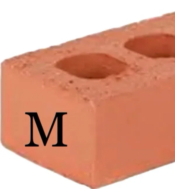 Avatar of Majin_Brick