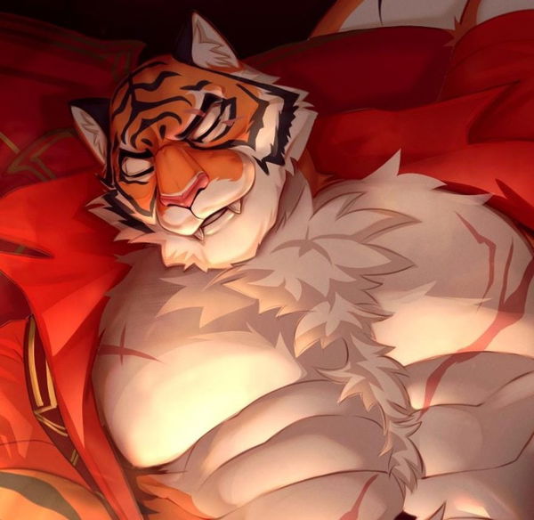 Avatar of XraroX
