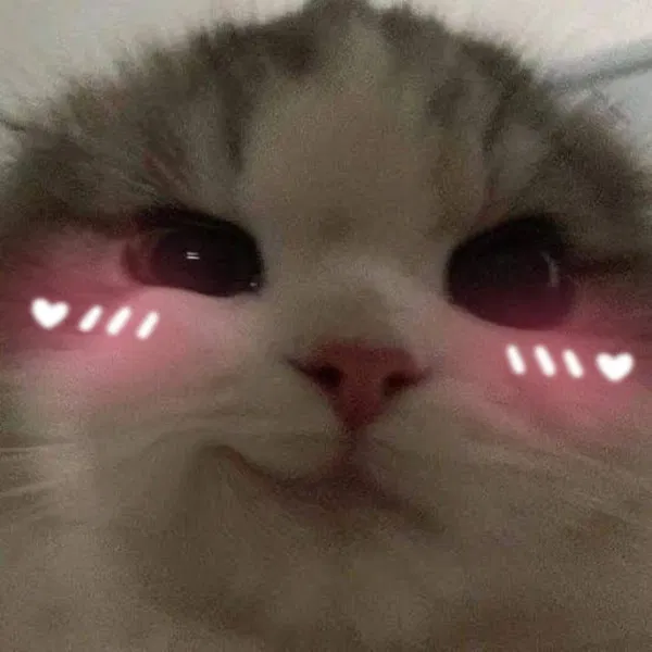 Avatar of bbiemoonie