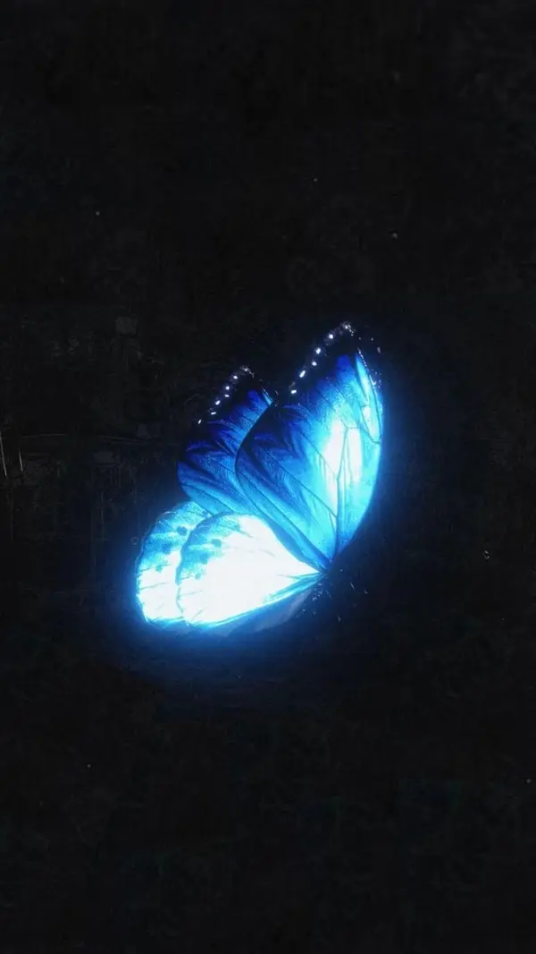 Avatar of Seungminstoenails