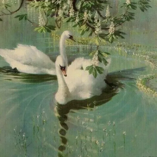Avatar of fernwhisper