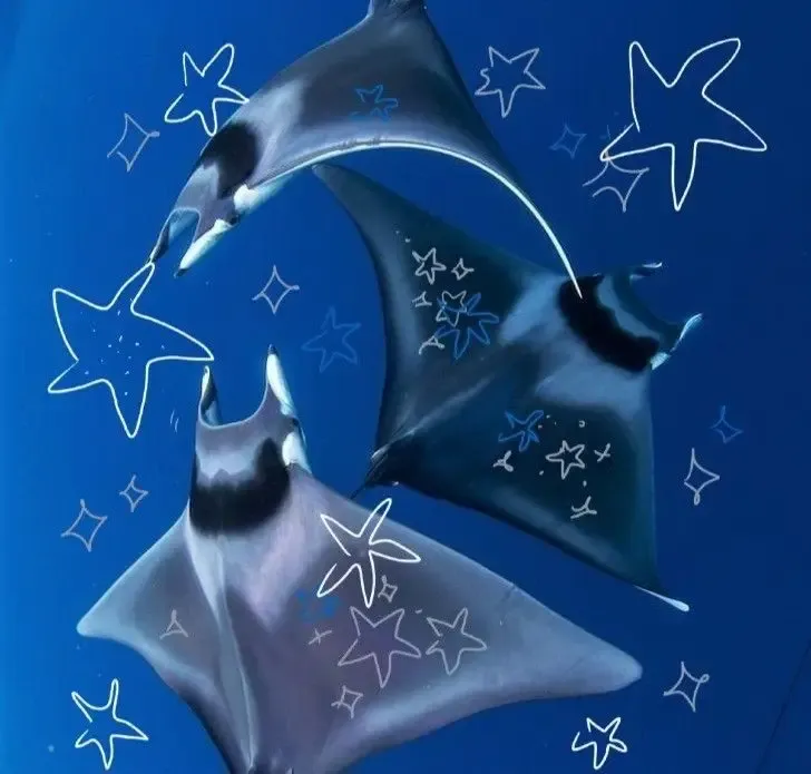 Avatar of teax