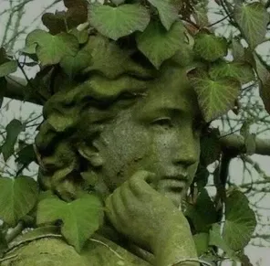 Avatar of Leaf_Clovers777