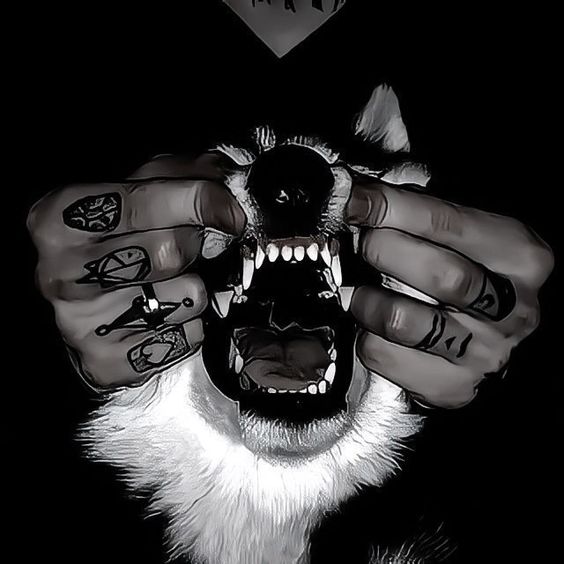 Avatar of Levi_Wolf_Hunter