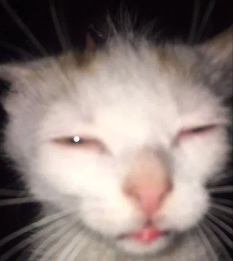 Avatar of FiufiIsMyName