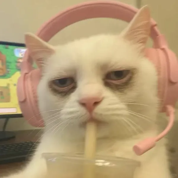 Avatar of fl4typuss