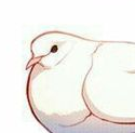Avatar of Trashbird