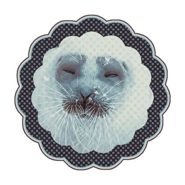 Avatar of thecoolcat