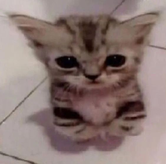 Avatar of Foofy