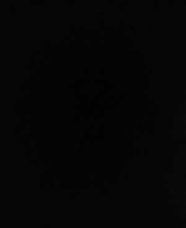 Avatar of Nnsvm3