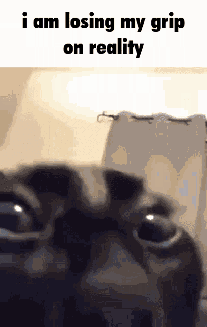 Avatar of ItsMeEric