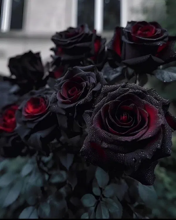 Avatar of Val---