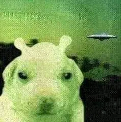 Avatar of Egg Head