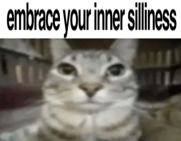 Avatar of Sillybenny