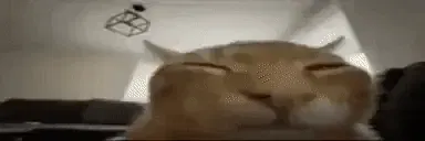 Avatar of Dogbeater