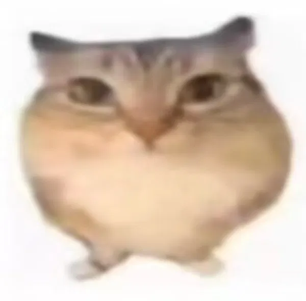 Avatar of a little cat