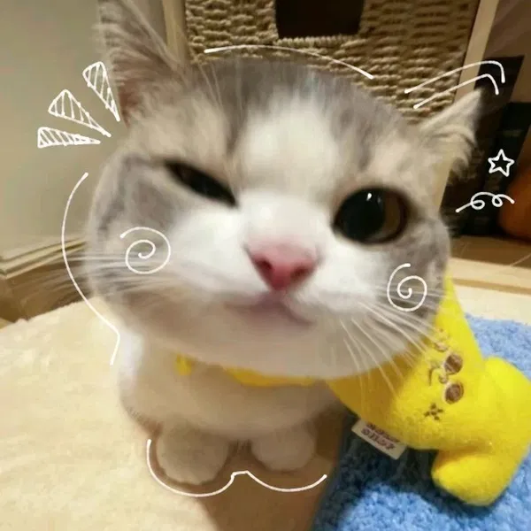 Avatar of bubbleai
