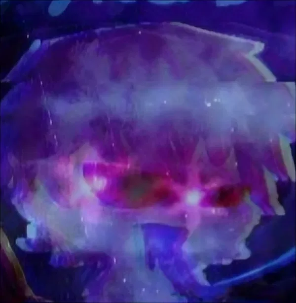 Avatar of Kaddicarus