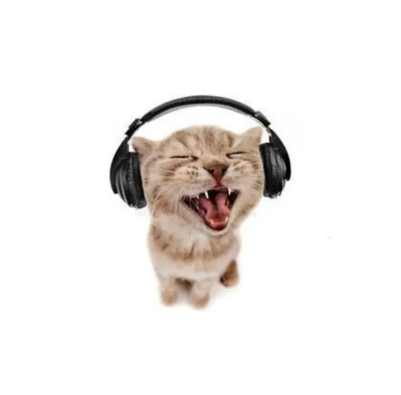 Avatar of Dr33thvy0u
