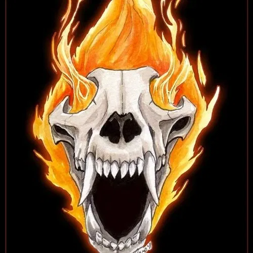 Avatar of Firewolfskull23