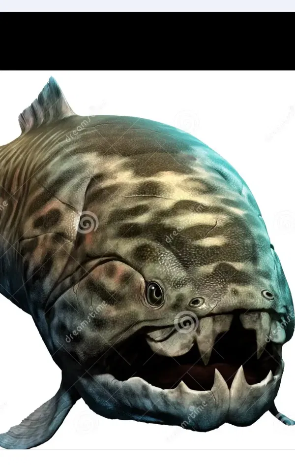 Avatar of Totallyordinarypineapple123