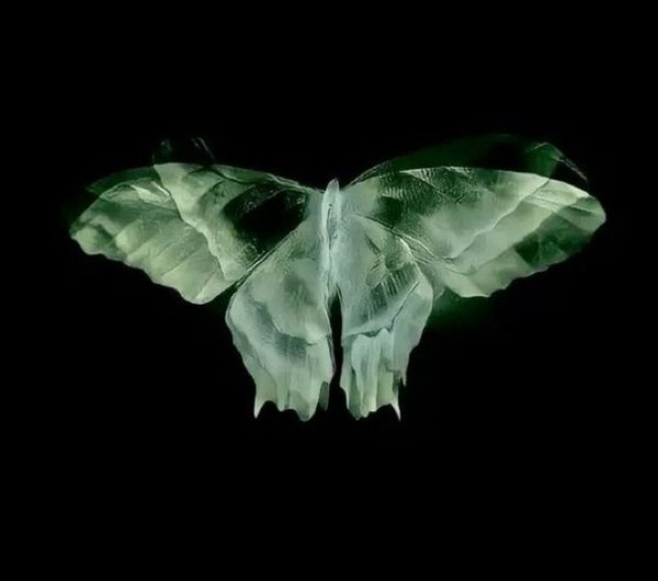 Avatar of Larry.