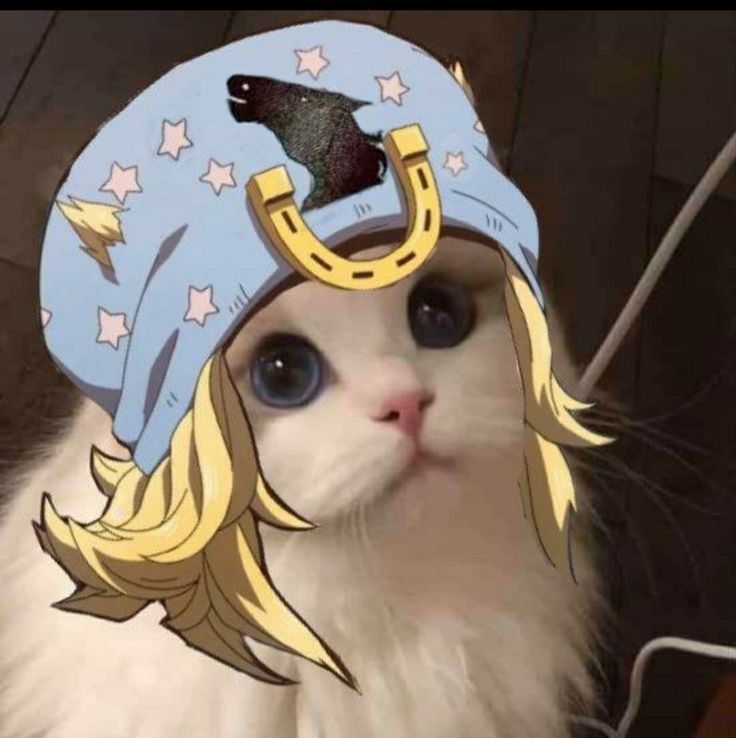 Avatar of YN cualquier persona 