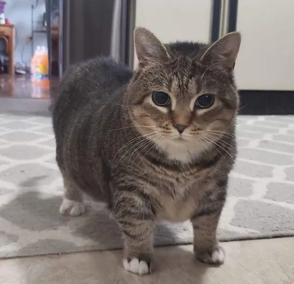 Avatar of Nigel-chan