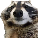 Avatar of CKC_304