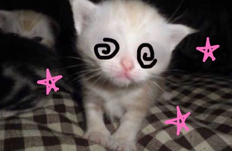 Avatar of cassieiscold 