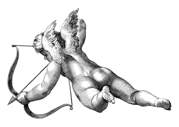 Avatar of Do11eye