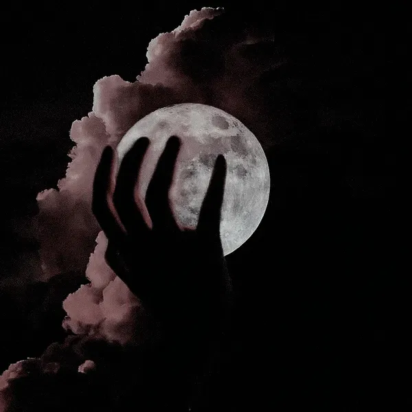 Avatar of nightlyeternals