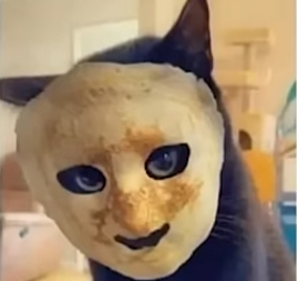 Avatar of Jacob201688