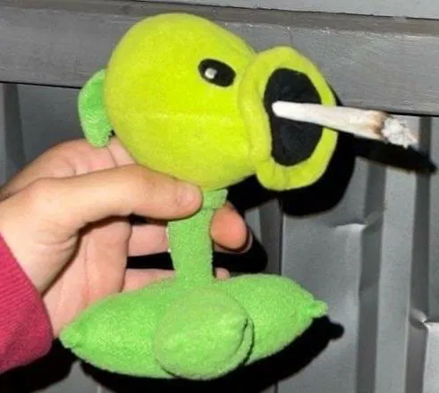 Avatar of Groggy1