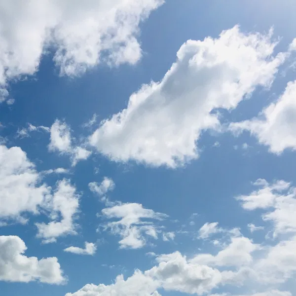 Avatar of Sky12345