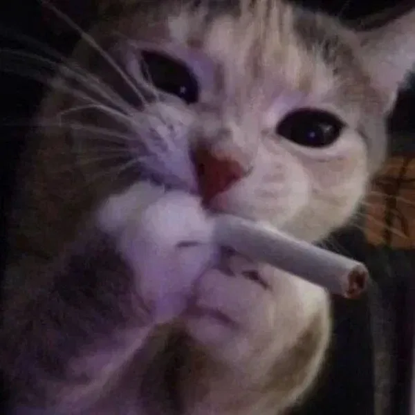 Avatar of ghosts cant sleep 