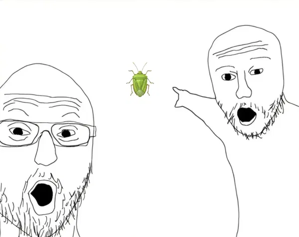 Avatar of THE BUG FUCKER