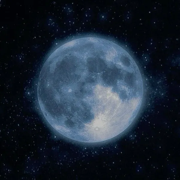 Avatar of Tadaki.lik3s.AI