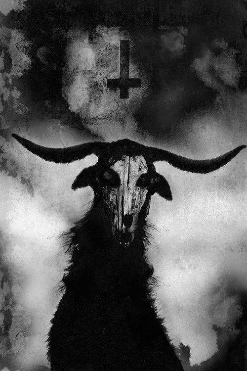 Avatar of GoatRyder 