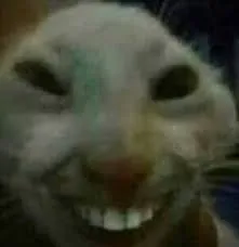 Avatar of yourcatthatsautisitic