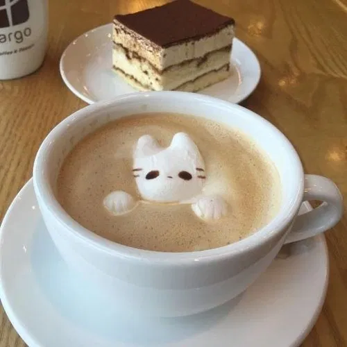 Avatar of lattekiss