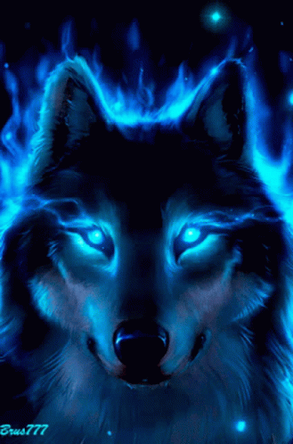 Avatar of Wolfie666