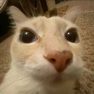 Avatar of ticuh