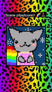 Avatar of SammyFizz