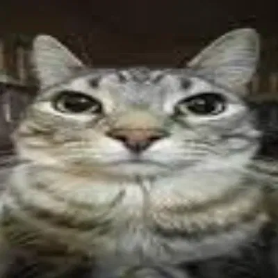 Avatar of czarrot