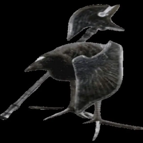 Avatar of Kallam