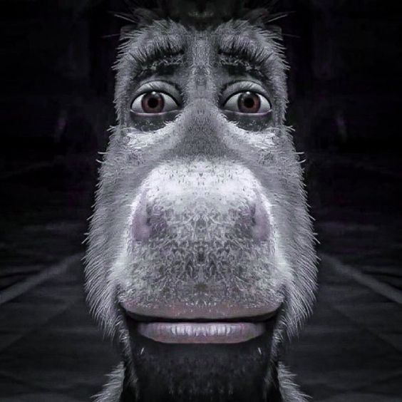 Avatar of RyukLvr